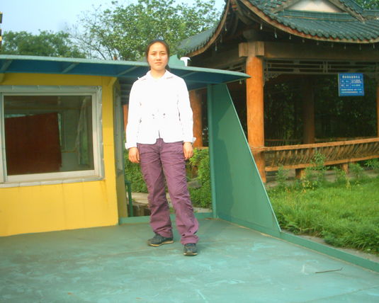 2006  (52)